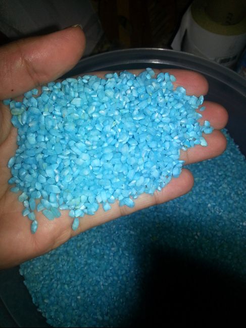 Mi arroz en 24 horas!!!!!! - 1