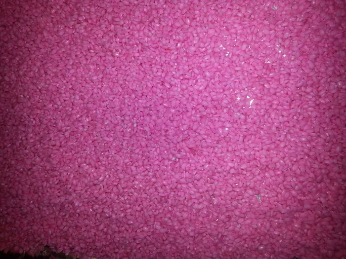 Mi arroz en 24 horas!!!!!! - 2