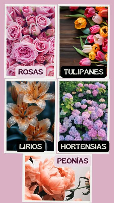 El Significado de los Ramos de Novia. 🌸🌺🪻🏵️🌷🪷 1