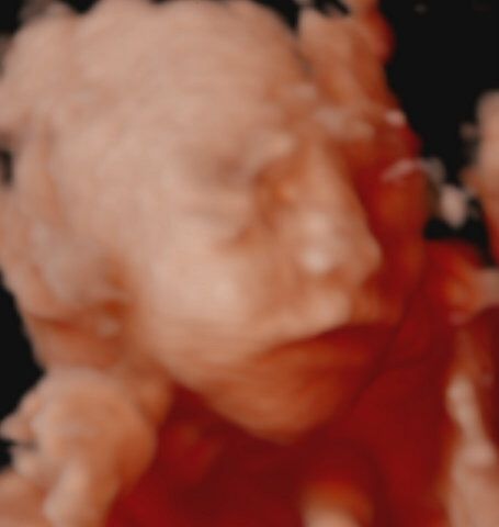 Nuevo! futuras mamis enero 2018 1