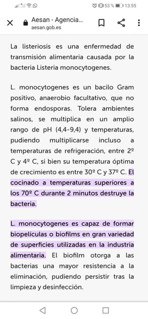 Futuras mamis Junio 2022!! 4