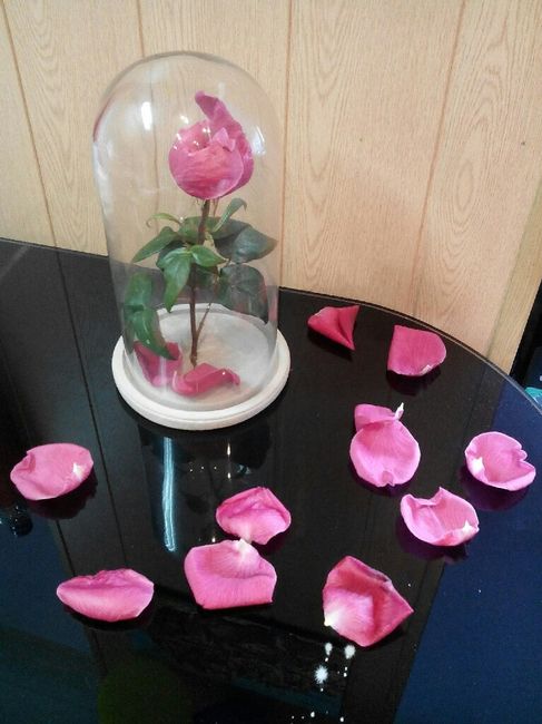 Rosa encantada (stjordi)-prueba - 1