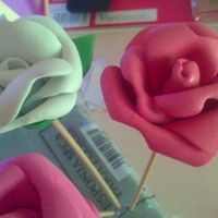 Flores