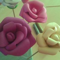 Flores