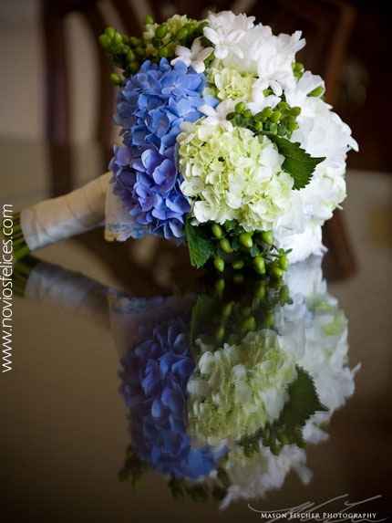 Hortensias blancas y azules