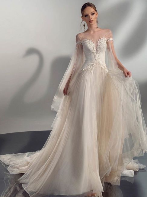 Ideal de vestido 1. - 1