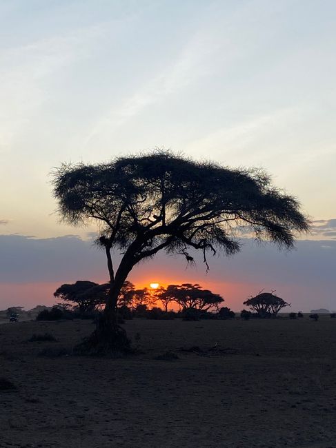 Luna de Miel (1): Kenia 🇰🇪 2