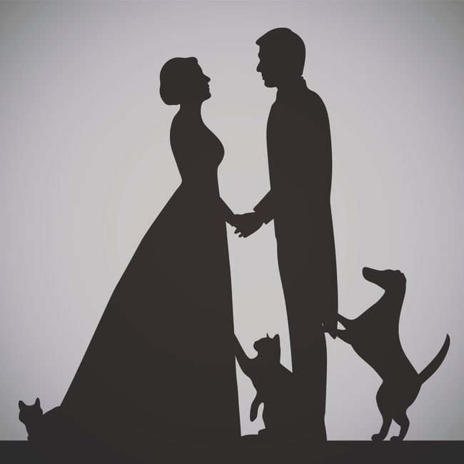 El dilema de Ester: ¿animales si o animales no en tu boda? 1