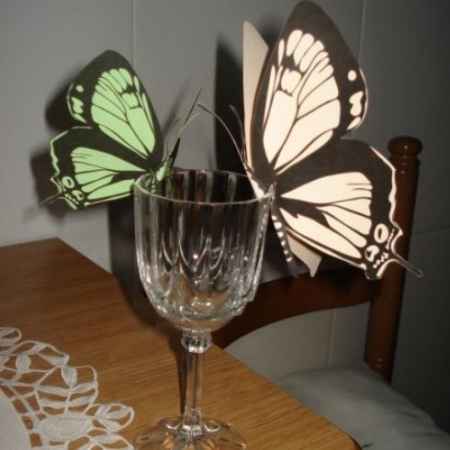 mariposa2