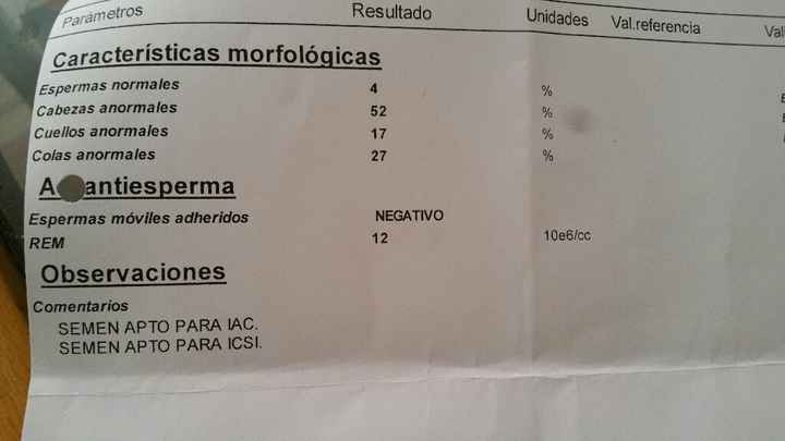Buscadoras de un primer embarazo y tras muchos intentos no llega - 1