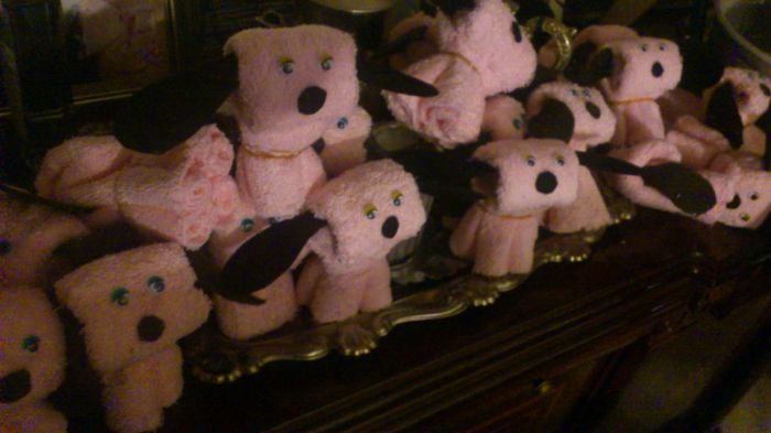 MIS PERRITOS TOALLA!