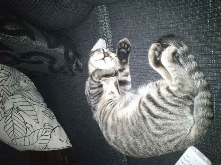 Pepe :)