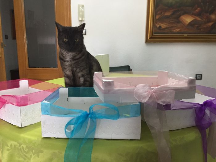 Cajitas