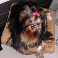 Amai, mi pequeña.