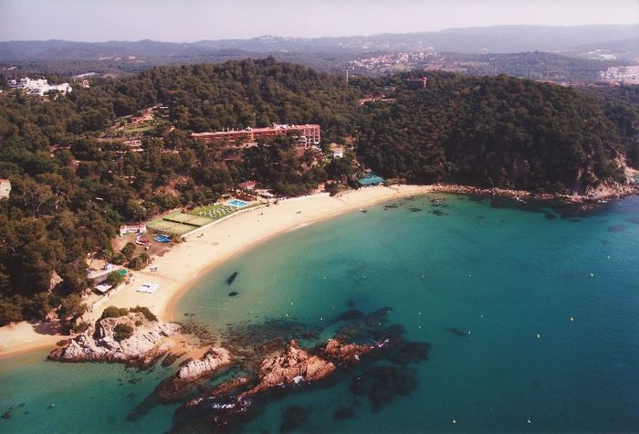 sitio de mi pedida