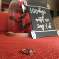 Anillo número 2