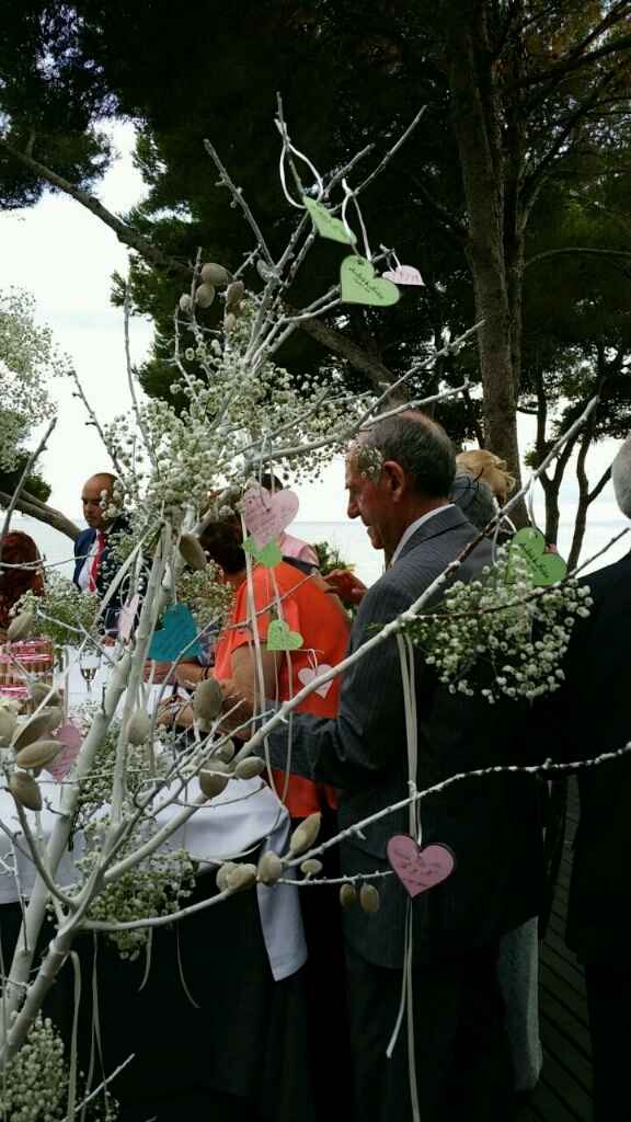 Donde comprar arbol de los deseos!!! - 1