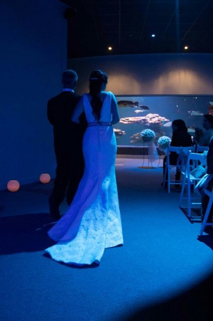Mi boda en palma aquarium - 5