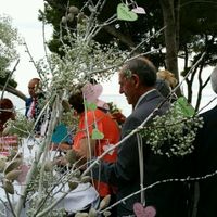 Libro de firmas + Árbol de los deseos - 2
