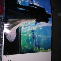 Ya me ha llegado el hofmann!!! - 1