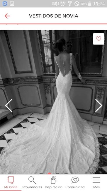 Enamorada del vestido - 2