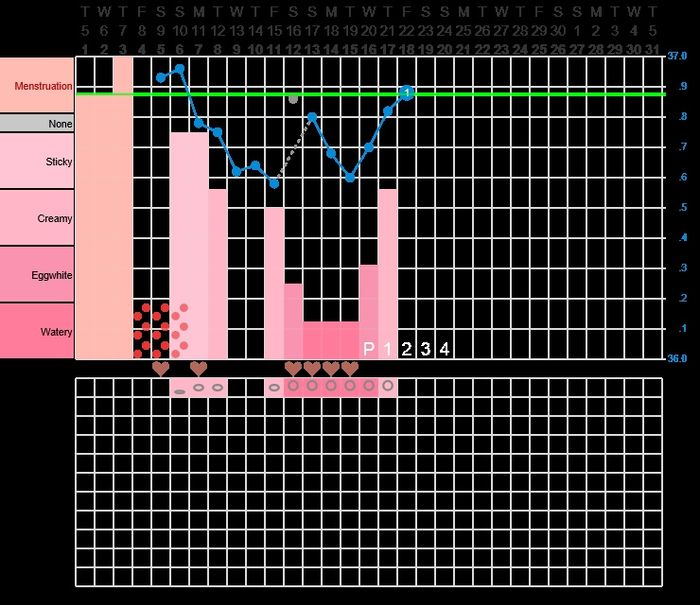 Decálogo de las gráficas de temperatura basal 1