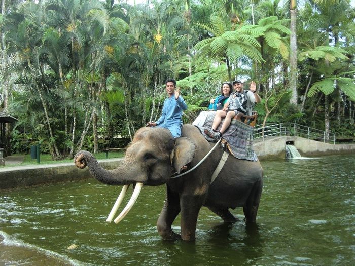 Paseo en elefante