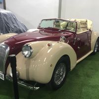 coche nupcial - 1