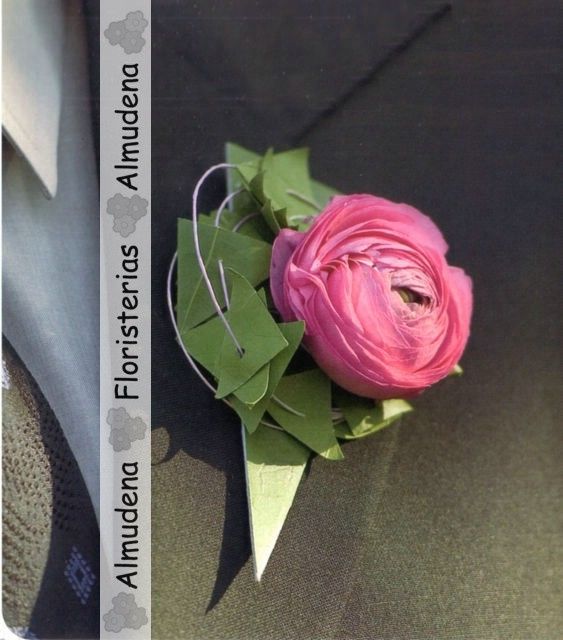 prendido novio