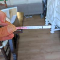 Buscadoras septiembre 2022 - 1