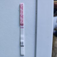 Buscadoras septiembre 2022 - 2