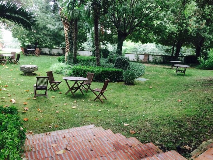 Paradis can amat 2015 - 2