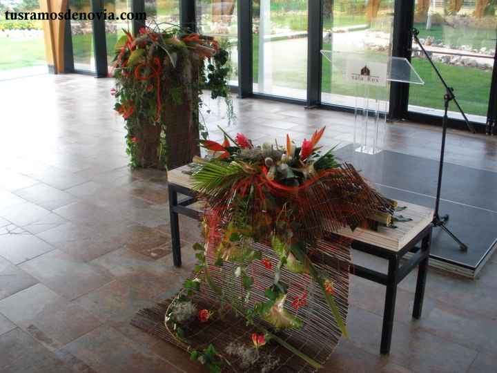 altar rex