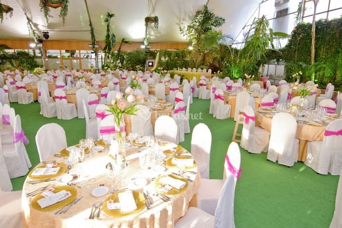 nuestro salón