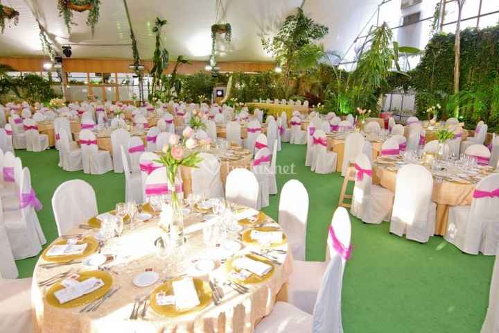 nuestro salón