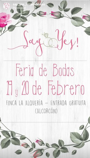 Say yes 1