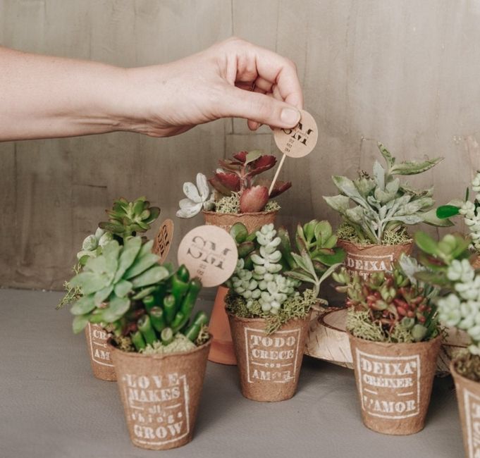 Detalles de plantas para invitados 🌱 2