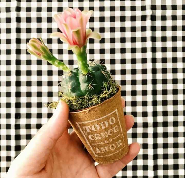 Detalles de plantas para invitados 🌱 - 1