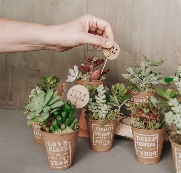 Detalles de plantas para invitados 🌱 - 2