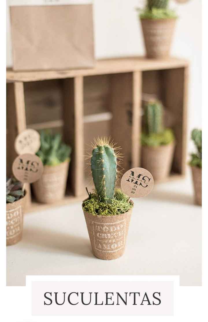 Detalles de plantas para invitados 🌱 - 3