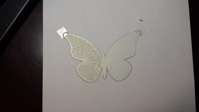 mariposa en la plantilla