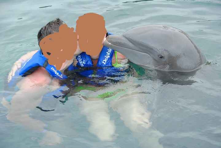 delfin5