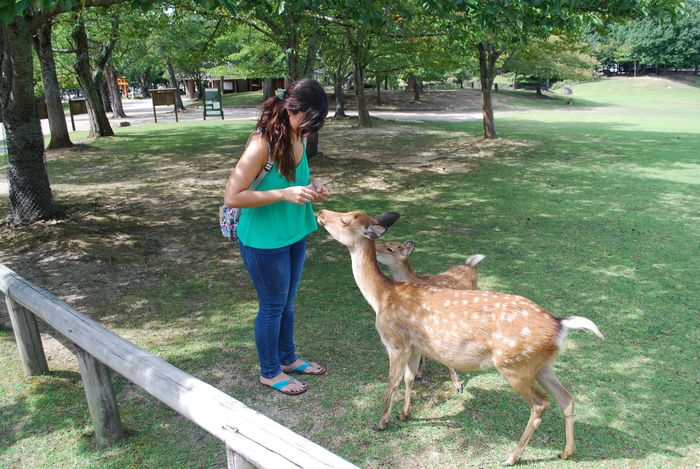 Parque de Nara