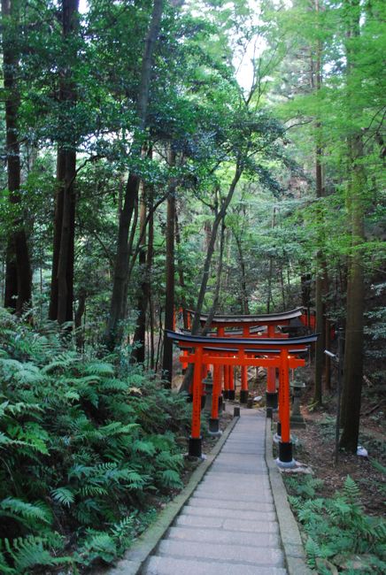  Fushimi Inari