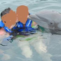 delfin5