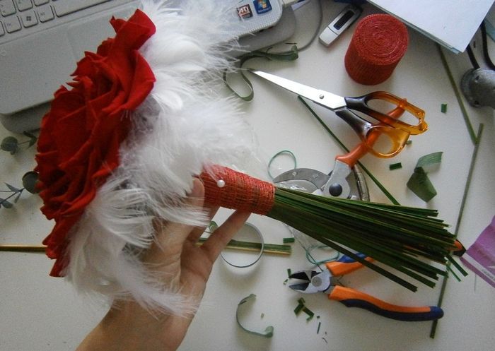 rosmelia terminada