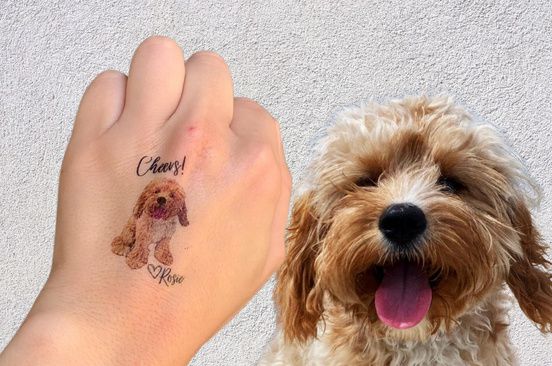 ¿Alguna mamá/papá perruno por aquí?  🐾🐾 2