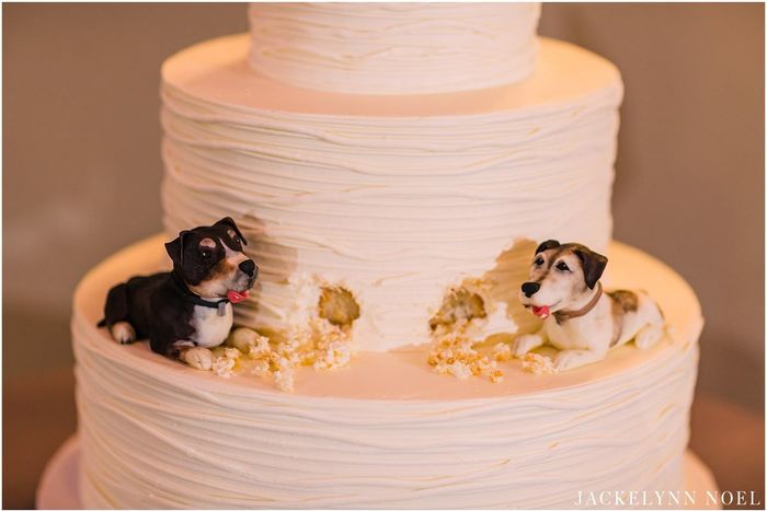 ¿Tarta o no tarta? 1