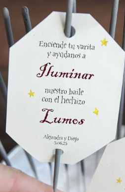 Boda temática harry potter - 1