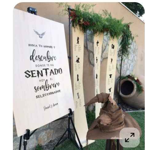 Boda temática harry potter - 2